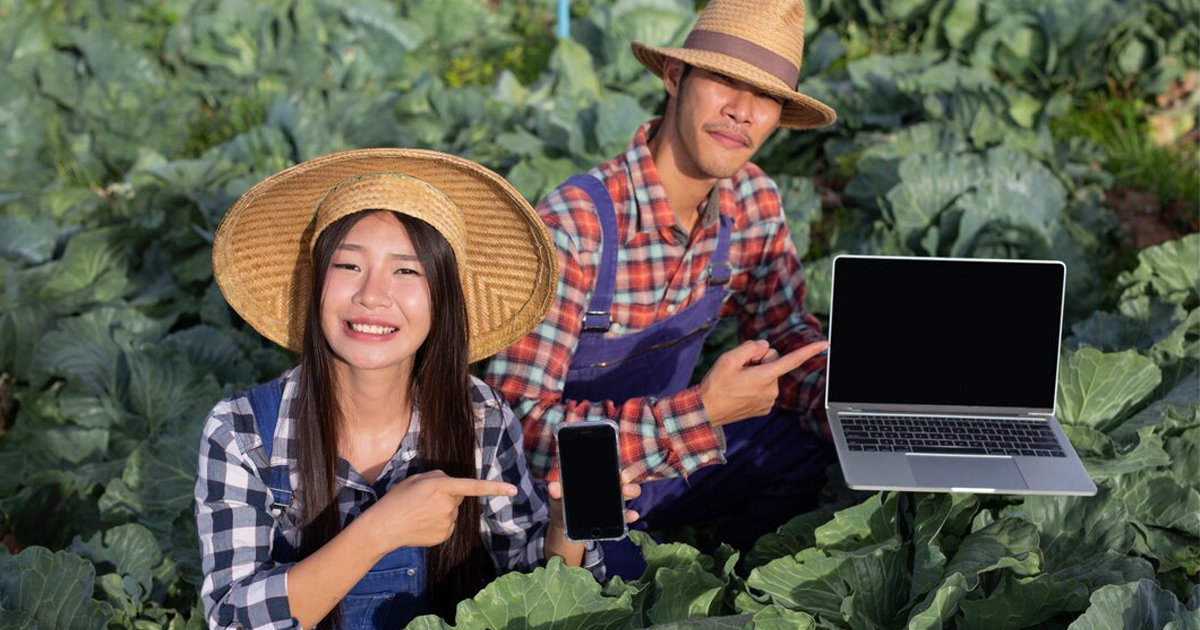 The role of digital transformation in agriculture